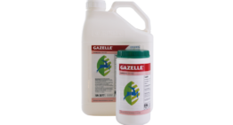 Nieuw etiket Gazelle
