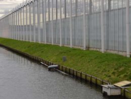 Milieubelasting door gewasbescherming glastuinbouw drastisch verlaagd