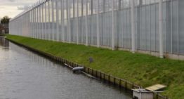Voorkomen emissie gewasbeschermingsmiddelen bij teeltwisseling