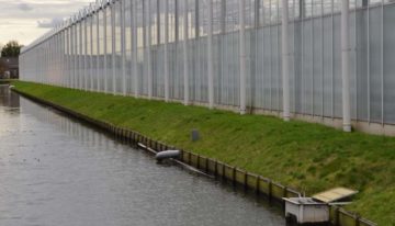 Milieubelasting door gewasbescherming glastuinbouw drastisch verlaagd
