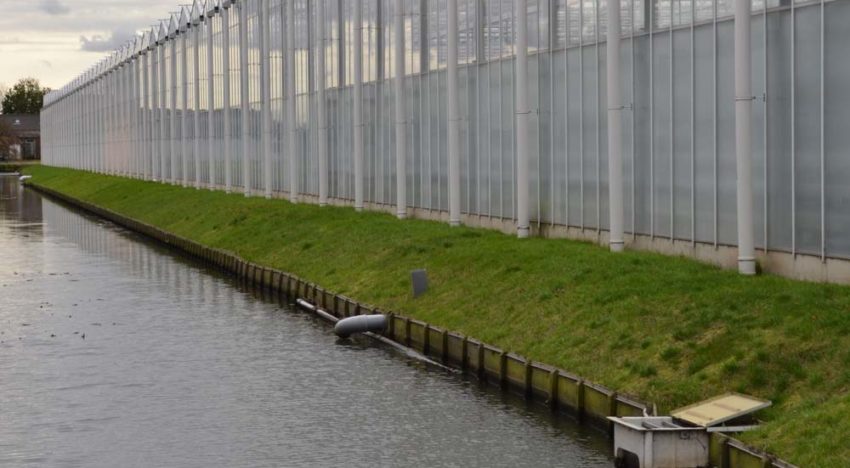 Voorkomen emissie gewasbeschermingsmiddelen bij teeltwisseling