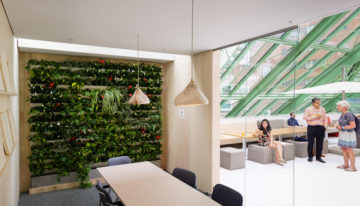 Dak van Ministerie van EZ getooid met innovatieve Sky Garden