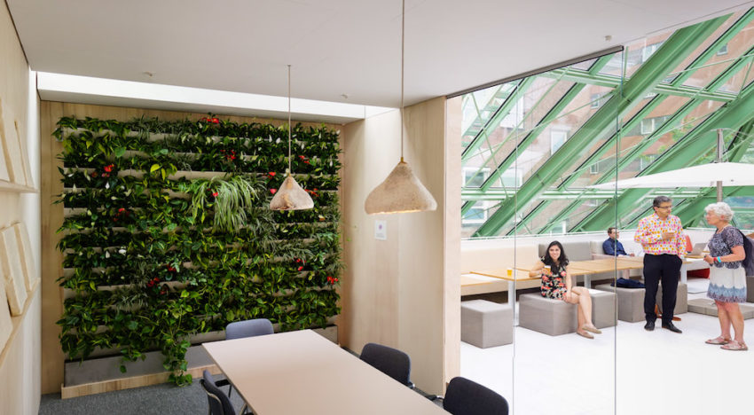 Dak van Ministerie van EZ getooid met innovatieve Sky Garden