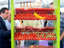 Vertical farming gaat via data en AI naar telen zonder telers