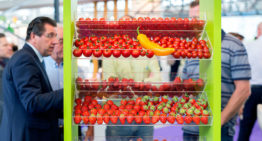 Vertical farming gaat via data en AI naar telen zonder telers