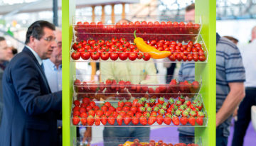 Vertical farming gaat via data en AI naar telen zonder telers