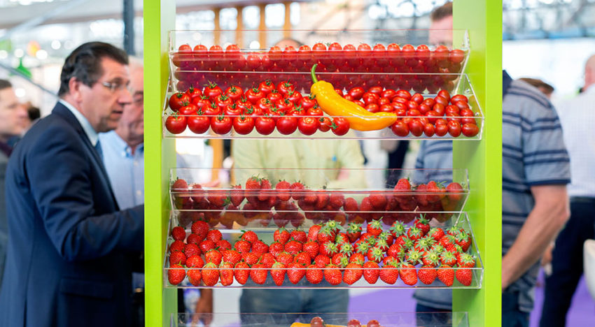 Vertical farming gaat via data en AI naar telen zonder telers
