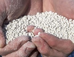Kalk doet veel meer voor bodem dan alleen zuurgraad reguleren