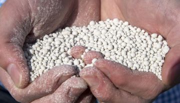 Kalk doet veel meer voor bodem dan alleen zuurgraad reguleren
