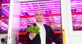 Vertical farming trekt vooral een heel nieuw soort ‘telers’ aan