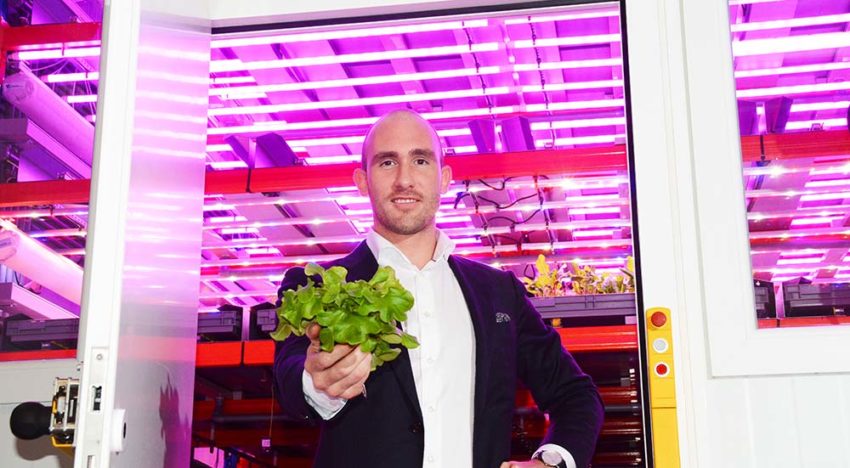 Vertical farming trekt vooral een heel nieuw soort ‘telers’ aan