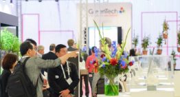 Breed kennisprogramma, innovaties en nieuwe paviljoens op GreenTech