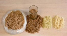 ‘Substraat in biologische teelt verdient serieuze aandacht’