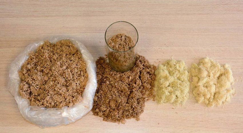 ‘Substraat in biologische teelt verdient serieuze aandacht’