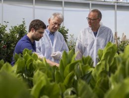 HNT geeft voorsprong en levert flinke energiebesparing op