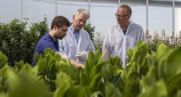 HNT geeft voorsprong en levert flinke energiebesparing op
