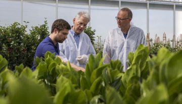 HNT geeft voorsprong en levert flinke energiebesparing op