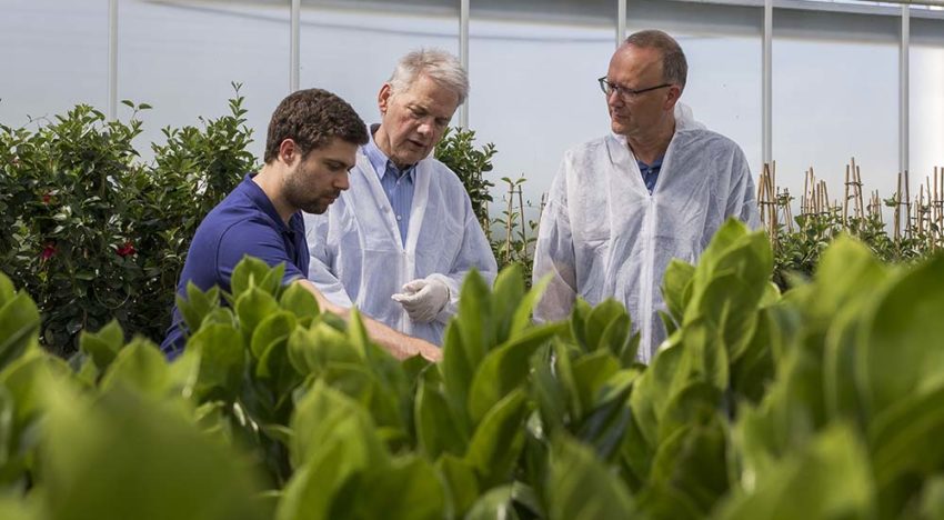 HNT geeft voorsprong en levert flinke energiebesparing op