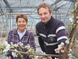 ‘Op een groot tuinbouwbedrijf ben je alleen aan het managen’