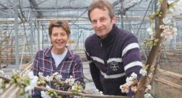 ‘Op een groot tuinbouwbedrijf ben je alleen aan het managen’