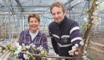 ‘Op een groot tuinbouwbedrijf ben je alleen aan het managen’