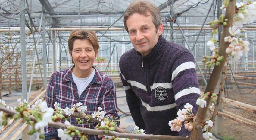 ‘Op een groot tuinbouwbedrijf ben je alleen aan het managen’