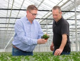 Gerichte biologische bestrijding werkt beter en is kostenbesparend