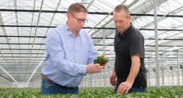 Gerichte biologische bestrijding werkt beter en is kostenbesparend