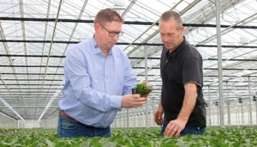 Gerichte biologische bestrijding werkt beter en is kostenbesparend