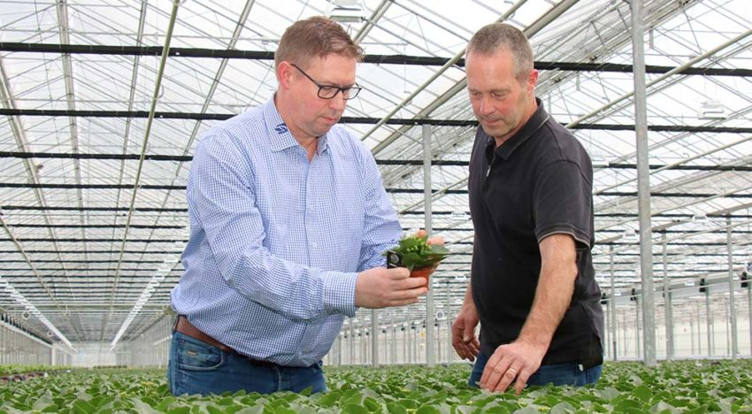 Gerichte biologische bestrijding werkt beter en is kostenbesparend