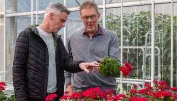 Ammonium geen ‘gif’, maar bruikbaar om pH in wortelmilieu te sturen