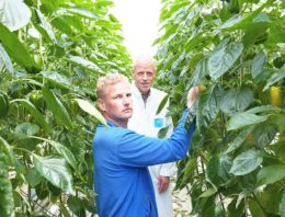 Extra mogelijkheden voor kwalitatief beter gewas door ion-specifiek sturen