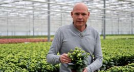 ‘Nu kunnen we volop aan de gang met de biologische bestrijding’