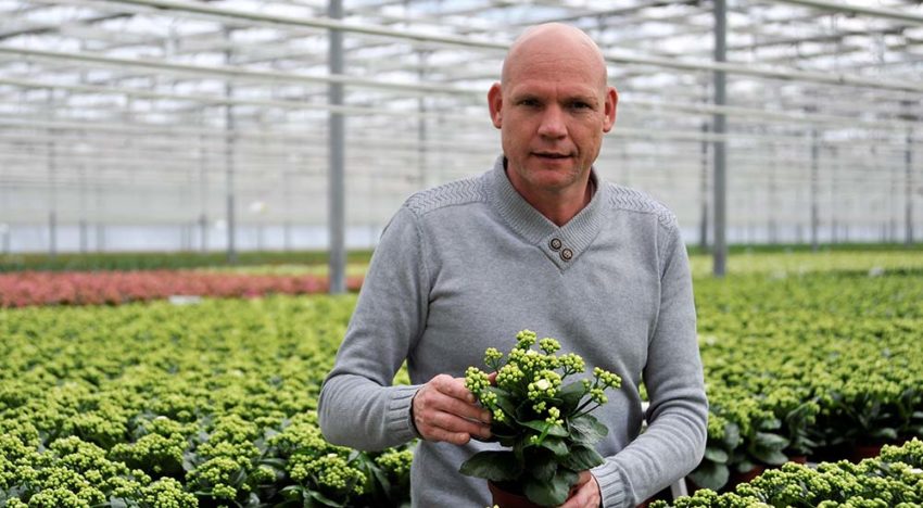 ‘Nu kunnen we volop aan de gang met de biologische bestrijding’