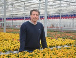 ‘Combinatie van veredeling en productie is bepalend voor succes’