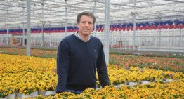‘Combinatie van veredeling en productie is bepalend voor succes’