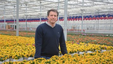 ‘Combinatie van veredeling en productie is bepalend voor succes’