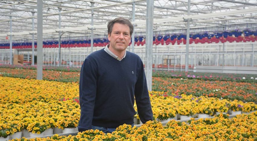 ‘Combinatie van veredeling en productie is bepalend voor succes’