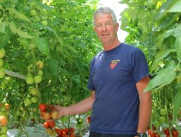 Tomatenteler verfijnt meststofgift steeds verder en houdt systeem schoon