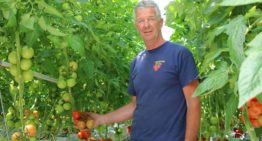 Tomatenteler verfijnt meststofgift steeds verder en houdt systeem schoon