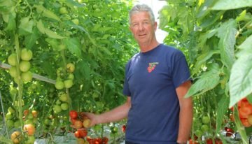 Tomatenteler verfijnt meststofgift steeds verder en houdt systeem schoon