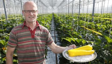 ‘Geel is zoeter dan groen en geliefd in salades’