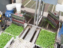 ISO Robot Plug Planting machine genomineerd voor GreenTech Innovation Award 2018