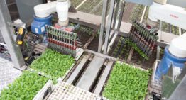 ISO Robot Plug Planting machine genomineerd voor GreenTech Innovation Award 2018