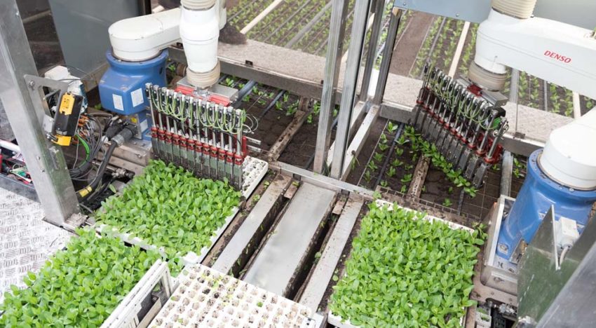 ISO Robot Plug Planting machine genomineerd voor GreenTech Innovation Award 2018 ISO Robot Plug Planting machine genomineerd voor GreenTech Innovation Award 2018