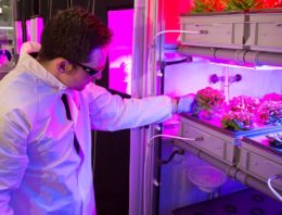 Productie Future Exploration Greenhouse op Antartica verloopt voorspoedig