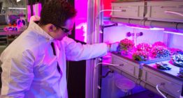 Productie Future Exploration Greenhouse op Antartica verloopt voorspoedig