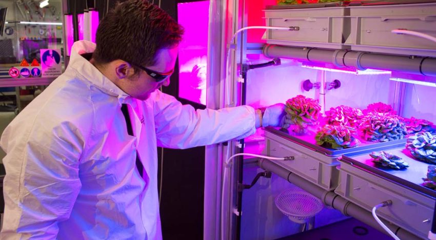 Productie Future Exploration Greenhouse op Antartica verloopt voorspoedig