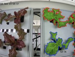 Systeem voor groenten telen in de ruimte