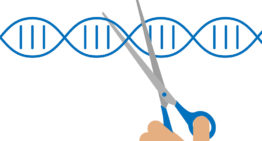 Minister Carola Schouten wil experimenteerruimte voor Crispr-Cas